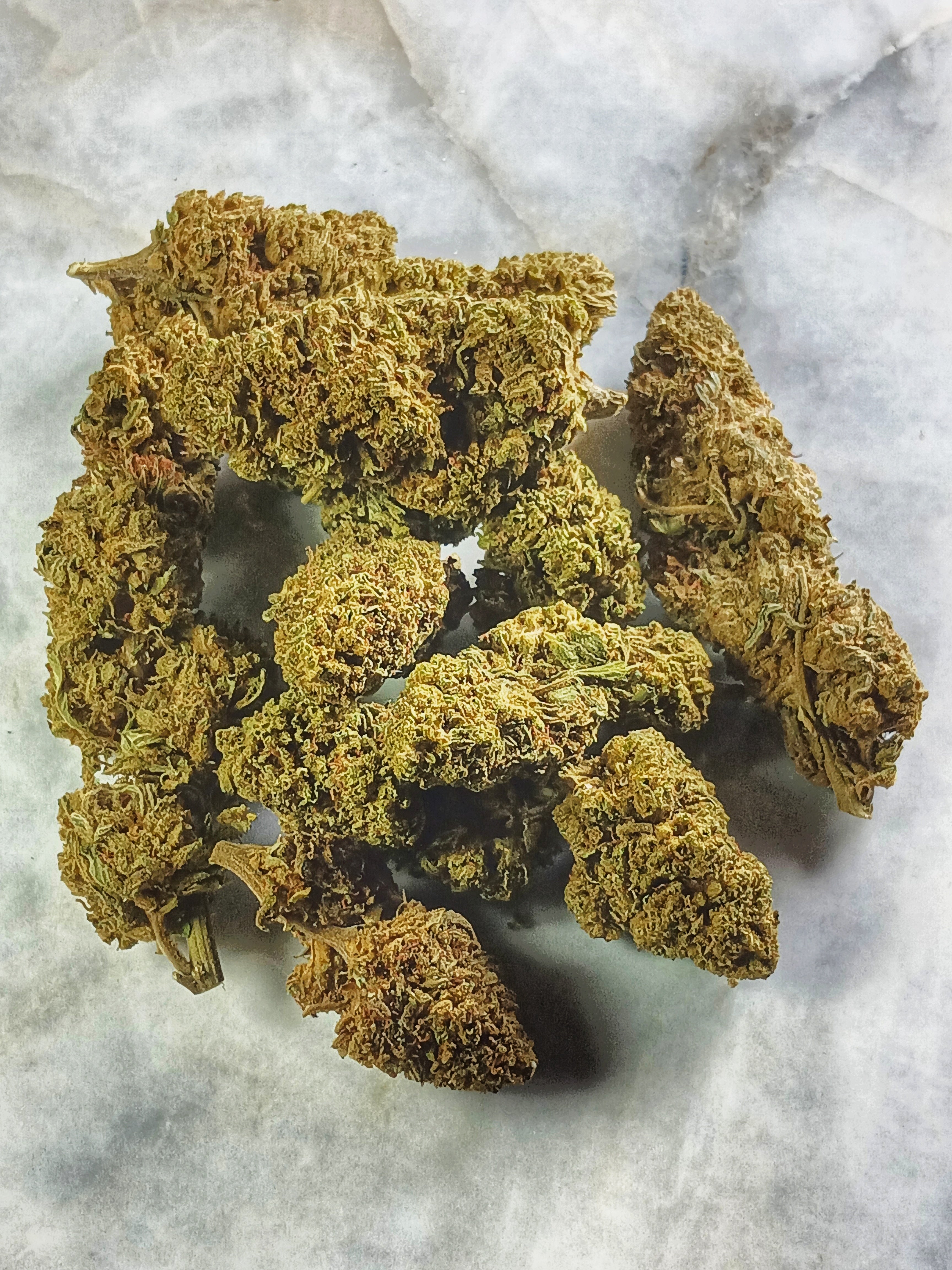 🍓 Fleur Strawberry Haze CBD 15,5% – L’Alliance Suprême entre Fraîcheur et Puissance