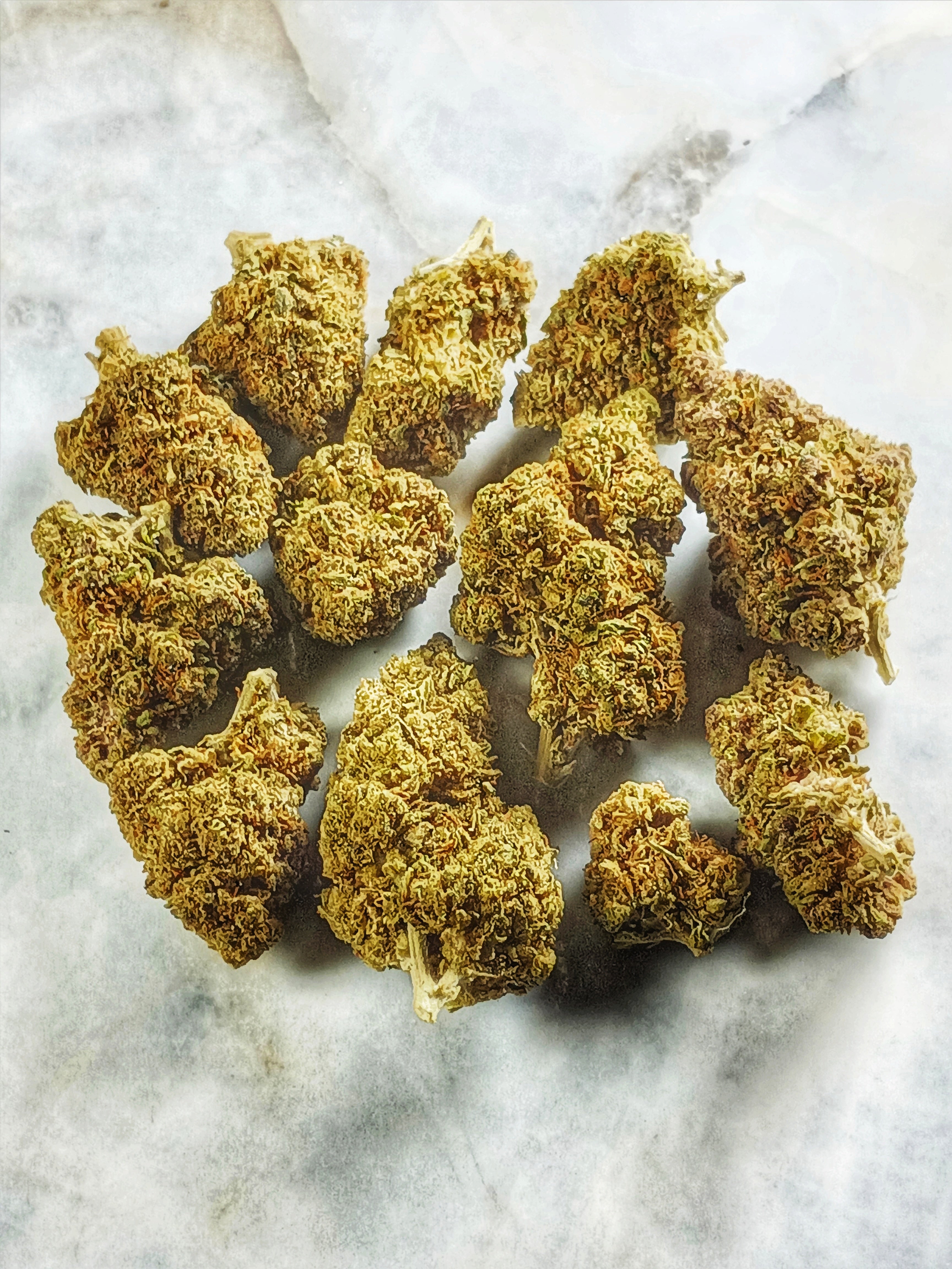 🧀 Fleur Cheese CBD 13,5% – L’Élégance d’une Culture Française Artisanale