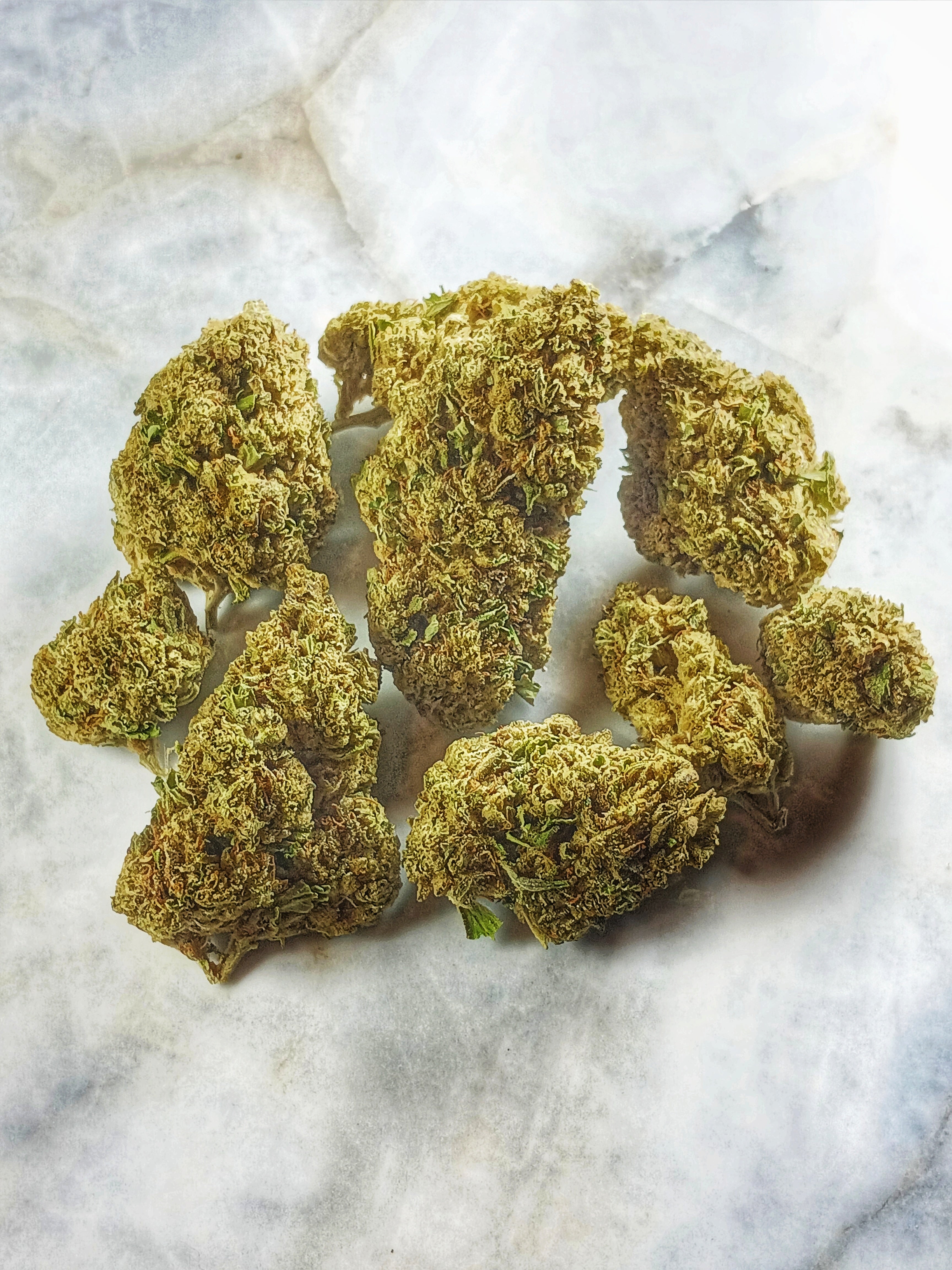 🥭 Fleur Mango Kush CBD 14% – L’Exotisme d’une Culture Française Naturelle