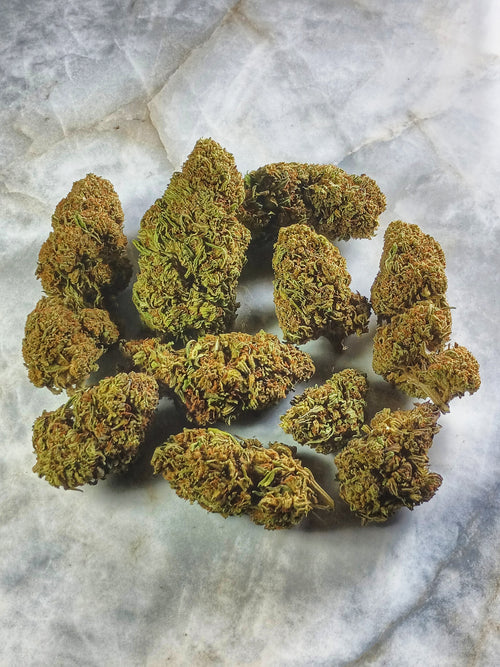 ☀️ Fleur Jack Herer CBD 12% – L’Icône Revitalisante, Née sous Serre Française