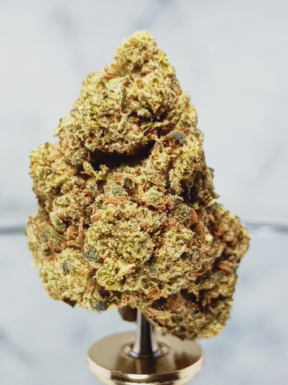 🧀 Fleur Cheese CBD 13,5% – L’Élégance d’une Culture Française Artisanale