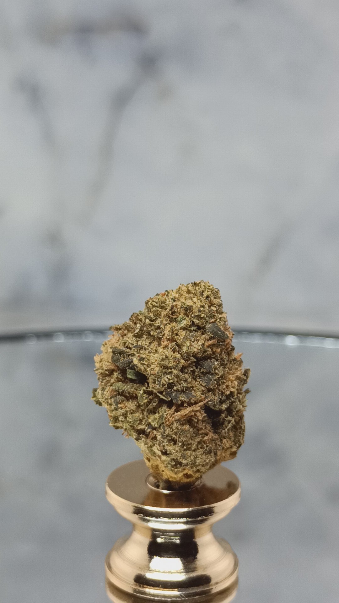 🍋 Fleur Lemon Haze CBD 14,5% – Petites Têtes, Grand Arôme